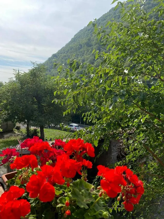 Bed & Breakfast B&B La Corte Del Segrino Canzo