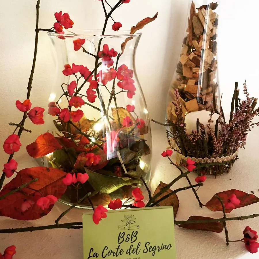 Bed & Breakfast B&B La Corte Del Segrino Canzo Italië