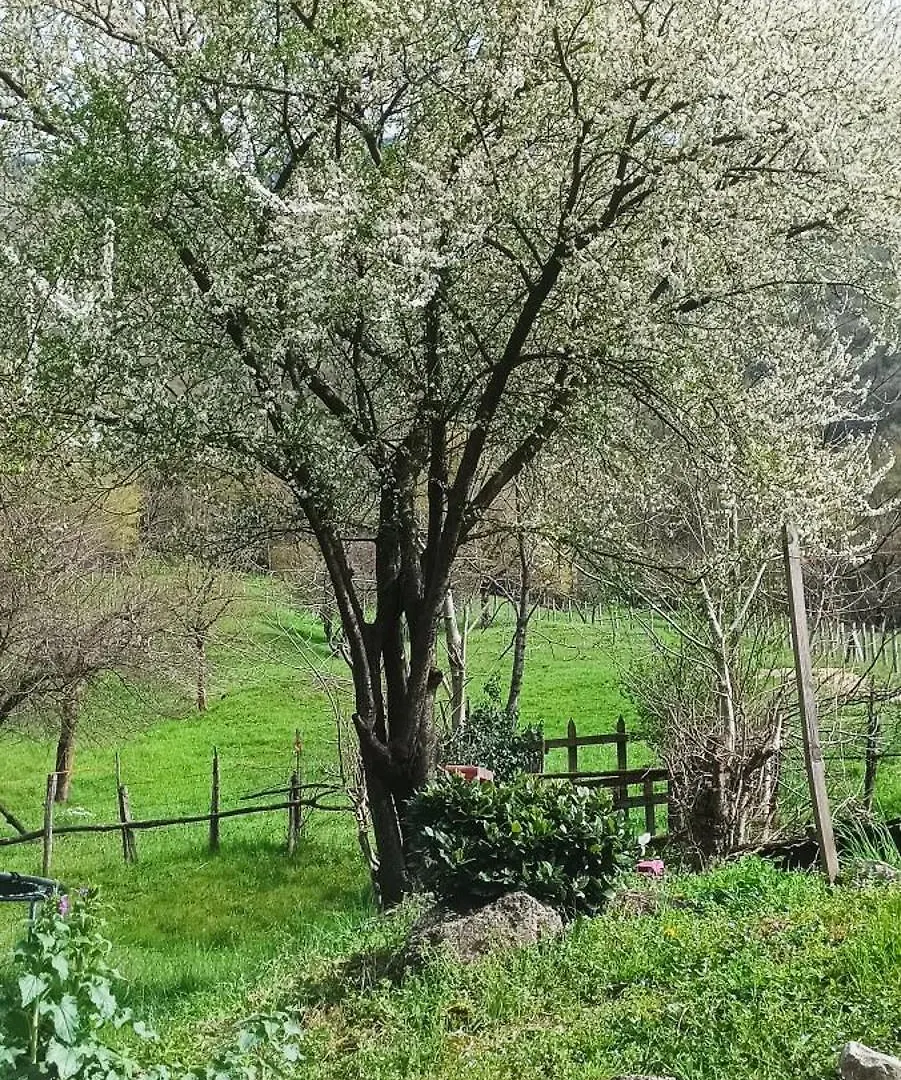 B&B La Corte Del Segrino Canzo Bed & Breakfast
